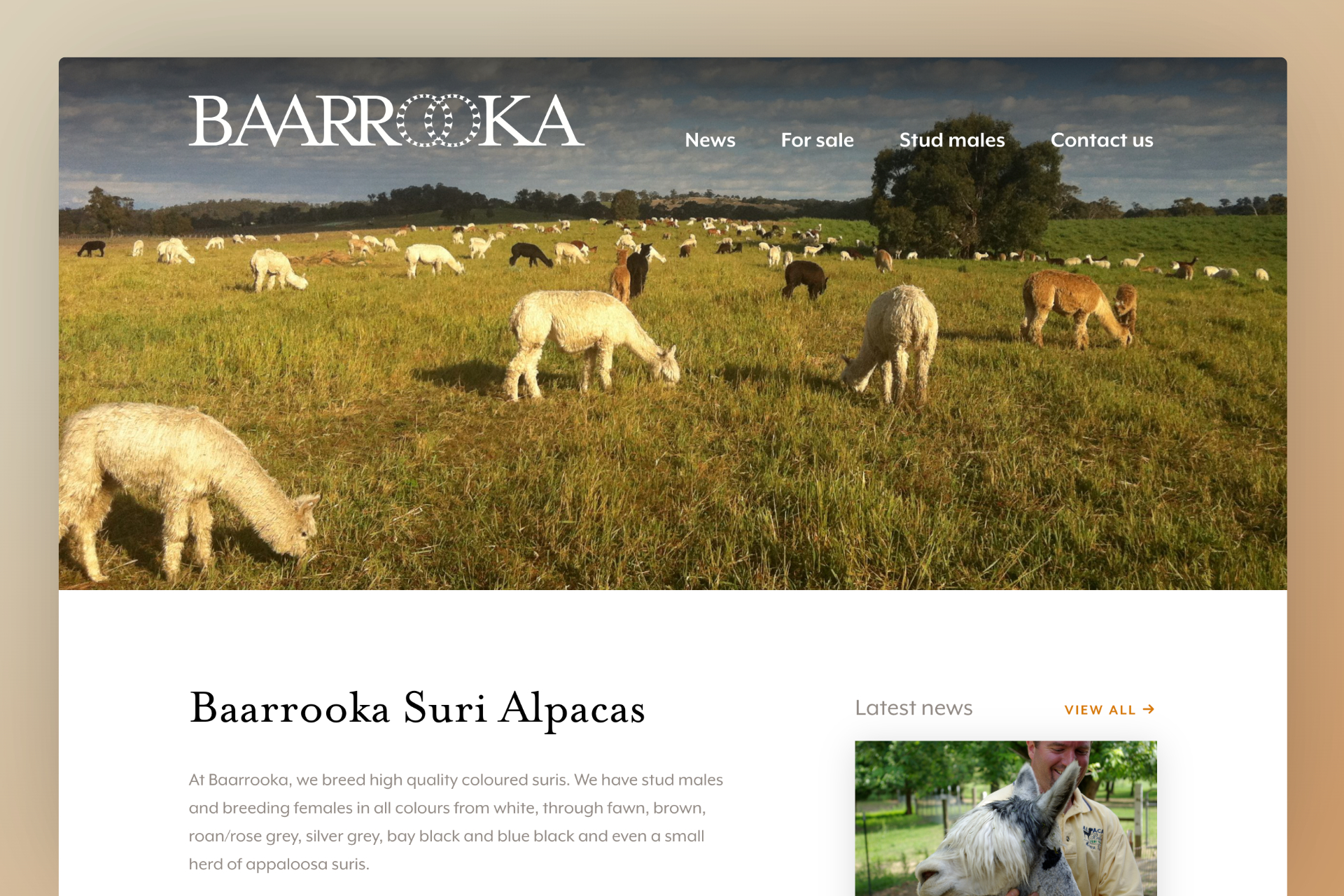 Baarrooka Alpacas